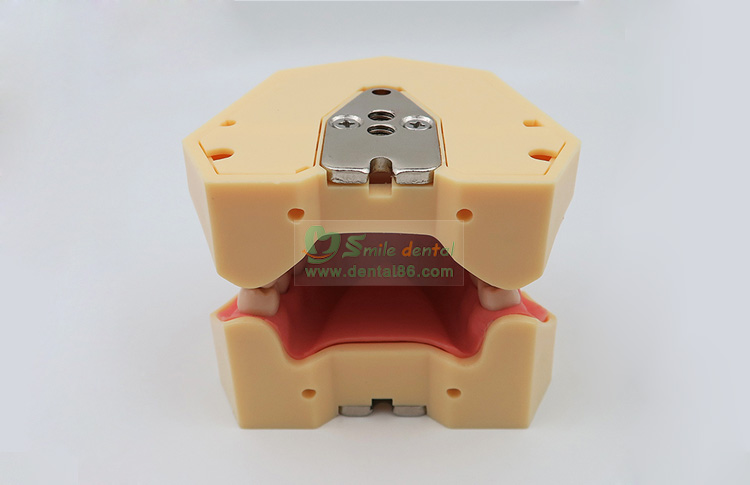 TM-A5 Standard Model, SF Style